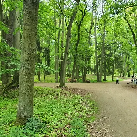 別荘 By Interhome Praskolesy